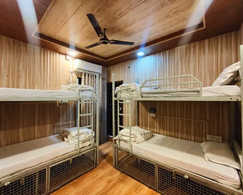 Copy of 43803e51-bd06-46a9-80c6-e9a16b5b8438